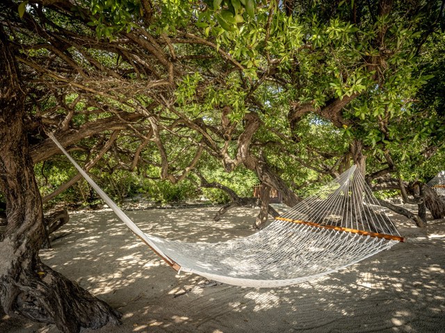 Canouan Estate — photograph 8 by Alex Amengual