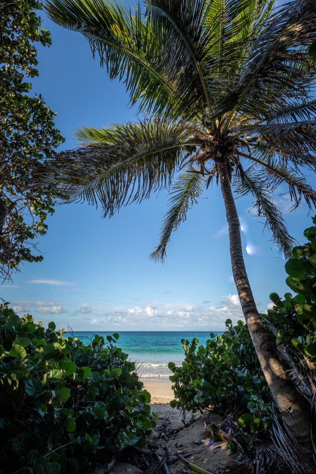 Canouan Estate — photograph 40 by Alex Amengual